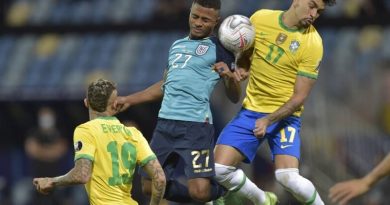 Ecuador vs Brazil National Football Team Stats