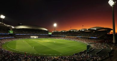 adelaide oval pitch report