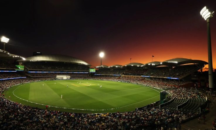 adelaide oval pitch report